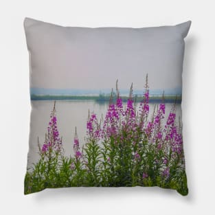 USA. Alaska. Fireweeds on the River Shore. Pillow