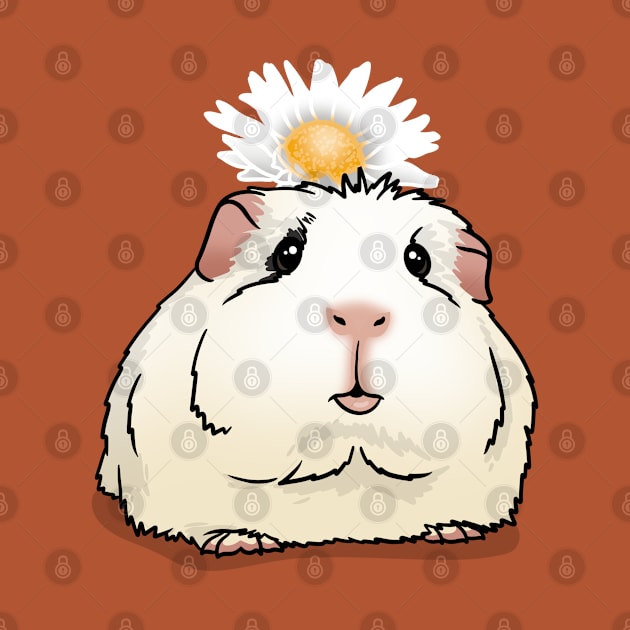 Daisy Guinea Pig by Kats_guineapigs