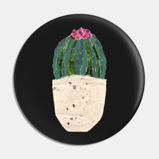 Cactus with pink flower collage Pin