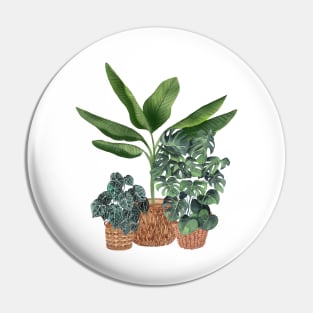 House plants 7 Pin