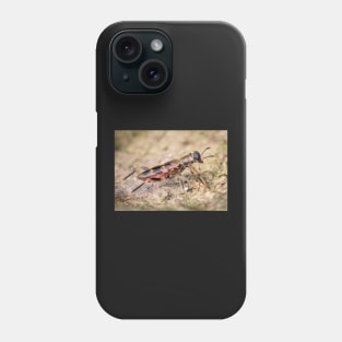 A checkered beetle (Cleridae) Phone Case