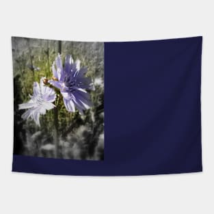 chicory flowers 4 Tapestry