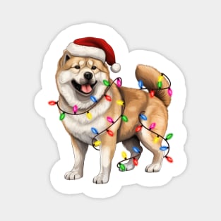 Christmas Akita Magnet