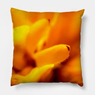 Flower bloom in macro Pillow