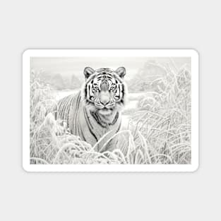 Tiger Animal Predator Wild Nature Ink Sketch Style Magnet