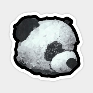 Panda Bear Portrait Magnet