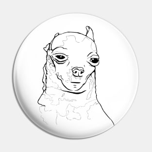 Unimpressed-Dog-or-Whatever-this-Meme's-Called Pin