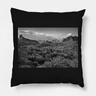 Desert Landscape In Black And White Pillow