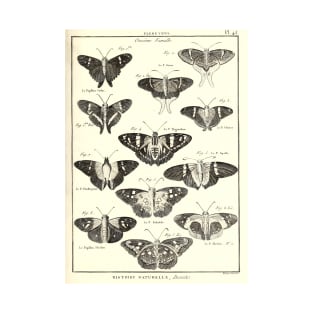 Moths - Vintage Bug Illustration T-Shirt