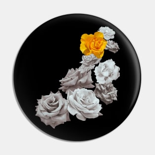 Black and white and a yellow rose Pin