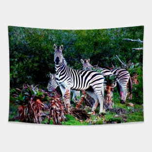 African Wildlife Photography Zebra Aloe Tapestry