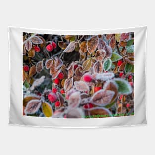 winter berries Tapestry