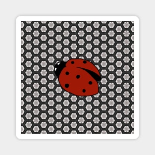 Ladybug with Background Magnet