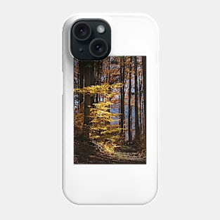 autumn in Forest Phone Case