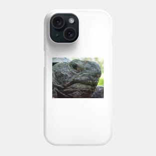 Florida Gopher Tortoise Phone Case