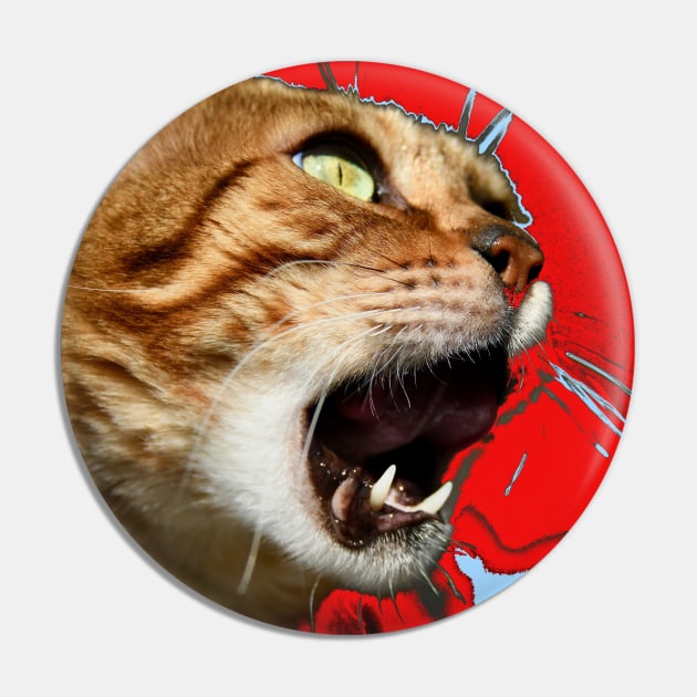 Bengal Katze 1 / Swiss Artwork Photography Pin by RaphaelWolf