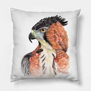 Wild beauty Ornate hawk eagle Watercolor Cut Pillow