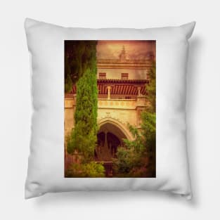 toledo cathedral. cloister Pillow