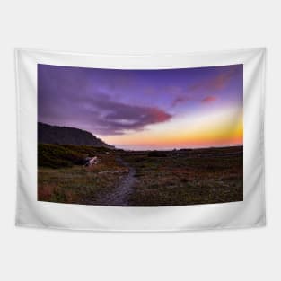 Dry Lagoon Sunset Tapestry