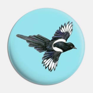 Flying magpie pencil illustration Pin