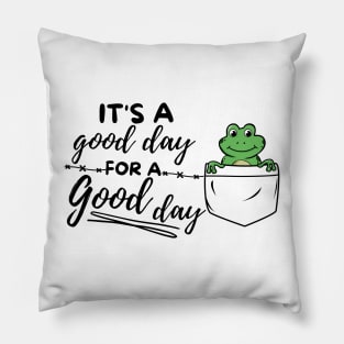 Its a good day for a good day Pillow