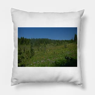 850_4595 Pillow