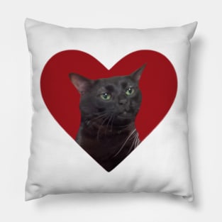 Zoned Out Cat Pillow