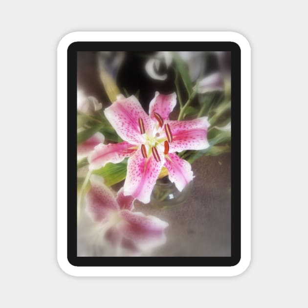 Stargazer Lilies #11 Magnet by DlmtleArt