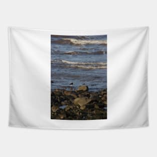 Oyster Catchers Tapestry