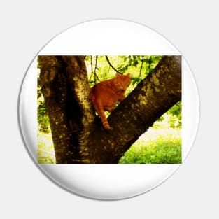 Tiger In A Tree Pin