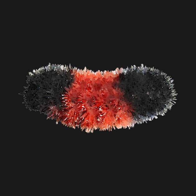 Woolly Bear Caterpillar Fuzzy by Griffelkinn