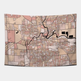 Fort Wayne Map Pattern in Soft Pink Pastels Tapestry