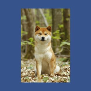 Shiba Inu Dog, Japanese Small Size Dog T-Shirt