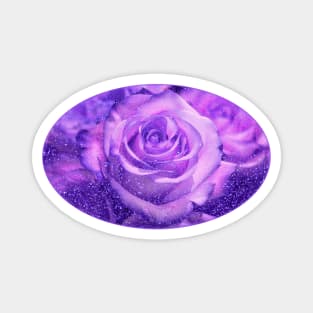 Purple Roses romantic floral glitter flowers Magnet