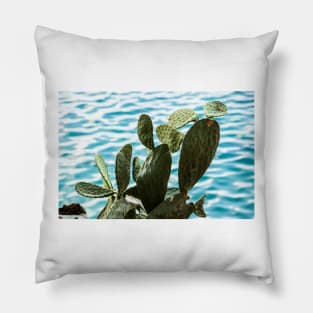 Cactus. Pillow