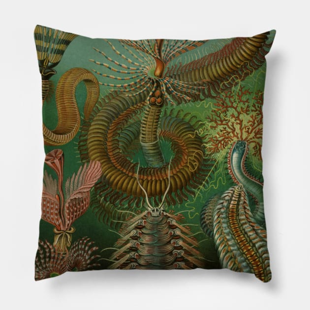 Annelids Chaetopoda by Ernst Haeckel Pillow by MasterpieceCafe