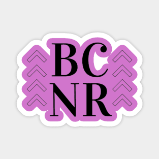 BCNR Magnet