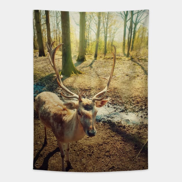 stag Tapestry by psychoshadow