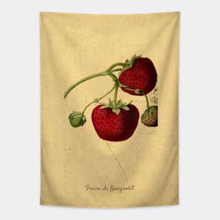 Vintage Illustration of Fraise de Bagnolet Fruit Tapestry