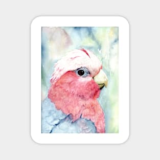 Australian Galah Cockatoo Watercolour Painting Magnet