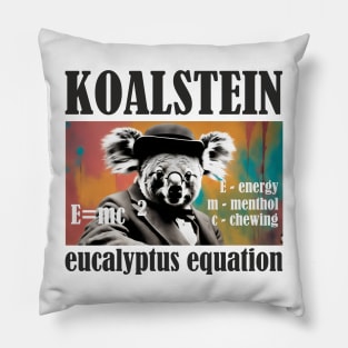 Koalstein E=mc^2 Pillow