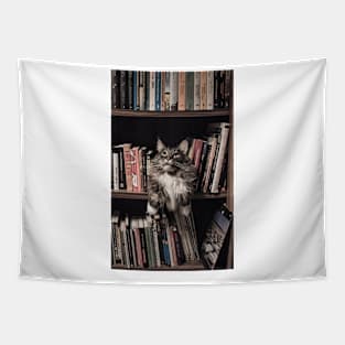 Books Tapestry