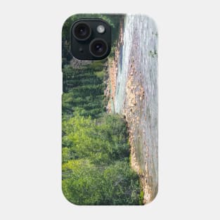 Animas River Phone Case