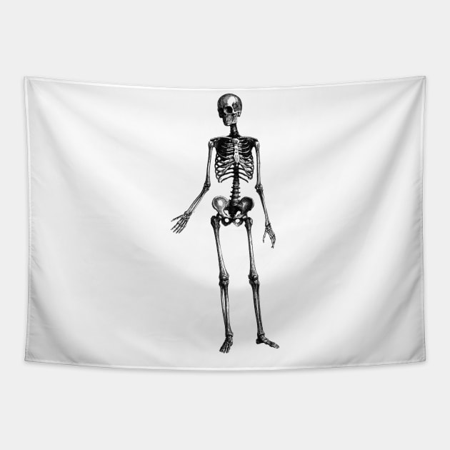 Human Body - Skeleton Tapestry by be yourself. design