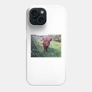 Scottish Highland Cattle Calf 2113 Phone Case