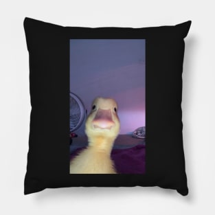 Duck meme Pillow