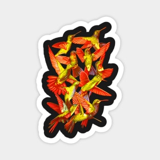 Hummingbird Dance in Sharpie (FireBird Edition) Magnet