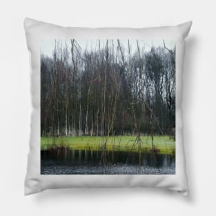 little pond with trees Pillow