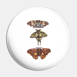 Moth Collection Pin