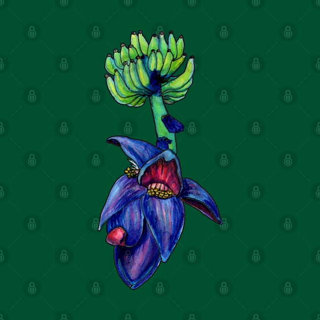 Banana Blossom by ThisIsNotAnImageOfLoss